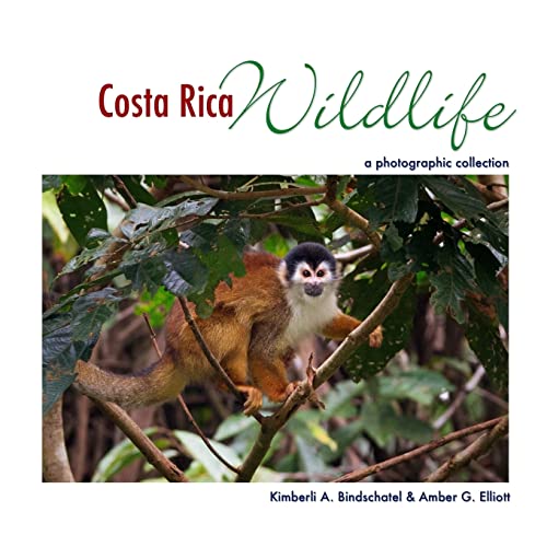 Stock image for Costa Rica Wildlife: A Photographic Collection for sale by Blue Vase Books