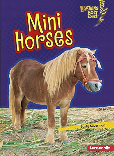 9781541511873: Mini Horses (Lightning Bolt Books  ― Little Pets)