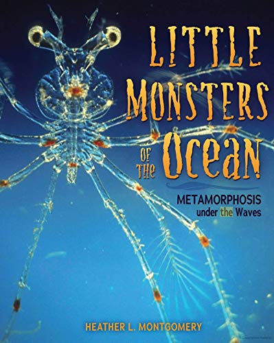 9781541528987: Little Monsters of the Ocean: Metamorphosis Under the Waves