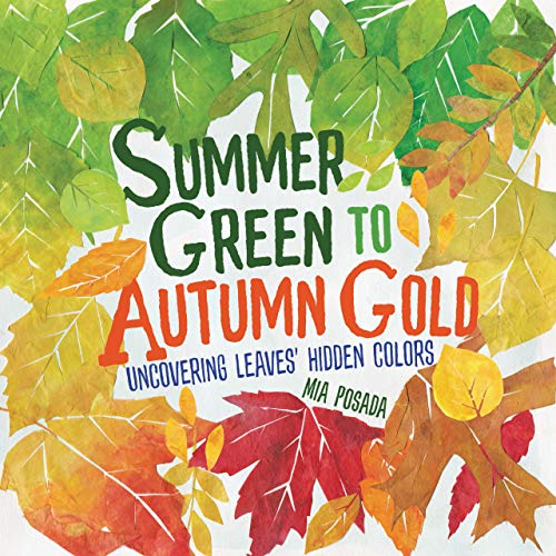 Imagen de archivo de Summer Green to Autumn Gold: Uncovering Leaves' Hidden Colors a la venta por BooksRun