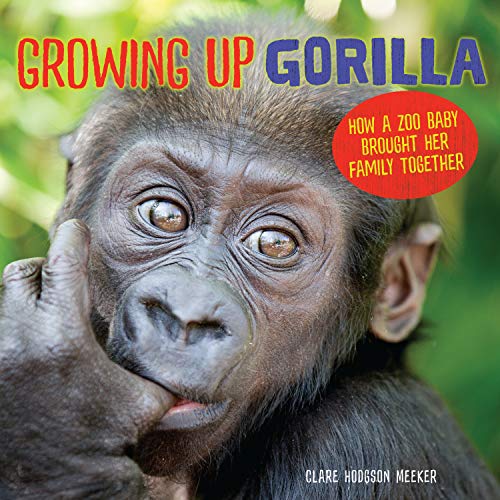 9781541542402: Growing Up Gorilla: How a Zoo Baby Brought Her Family Together