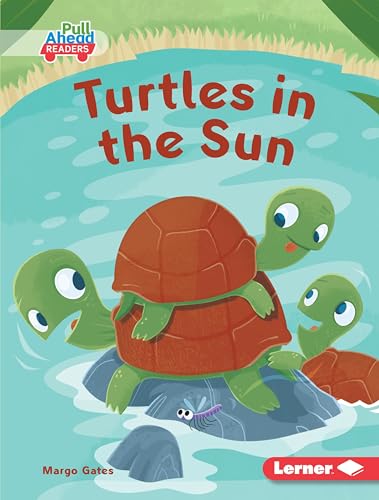 Stock image for Turtles in the Sun Format: Library Bound for sale by INDOO