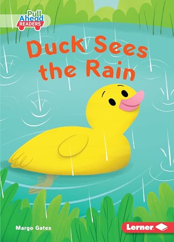 Stock image for Duck Sees the Rain (Pull Ahead Readers) for sale by BookOutlet