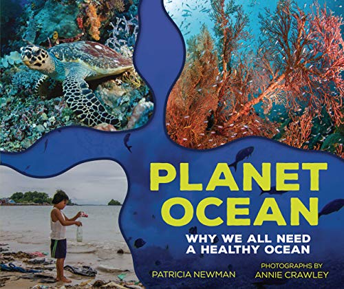 Beispielbild fr Planet Ocean zum Verkauf von Blackwell's