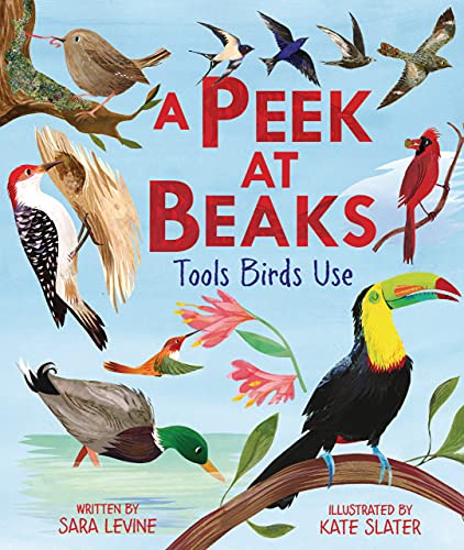 Stock image for A Peek at Beaks: Tools Birds Use for sale by ThriftBooks-Dallas