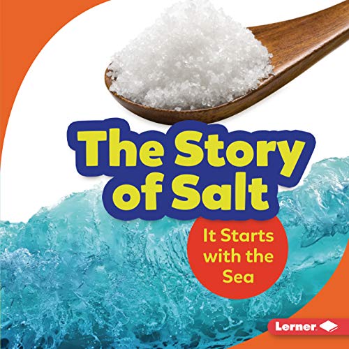 9781541597259: The Story of Salt: It Starts with the Sea (Step by Step)