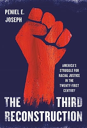 Stock image for The Third Reconstruction: America's Struggle for Racial Justice in the Twenty-First Century for sale by PlumCircle