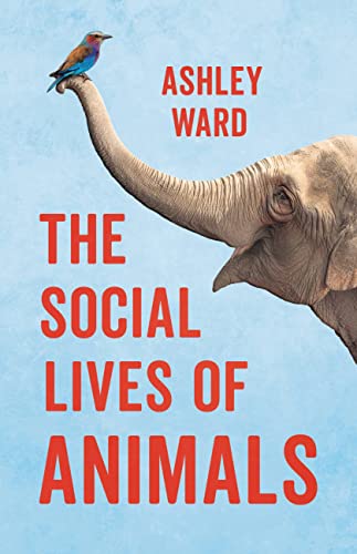 Imagen de archivo de The Social Lives of Animals a la venta por Bookoutlet1