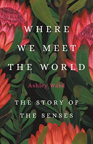 Imagen de archivo de Where We Meet the World: The Story of the Senses a la venta por PlumCircle