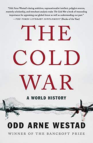 Stock image for The Cold War: A World History for sale by Bookoutlet1