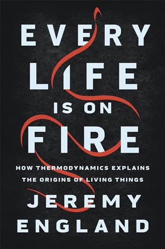 Beispielbild fr Every Life Is on Fire: How Thermodynamics Explains the Origins of Living Things zum Verkauf von BooksRun