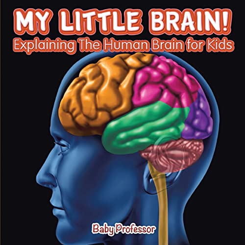Beispielbild fr My Little Brain! - Explaining The Human Brain for Kids zum Verkauf von Zoom Books Company