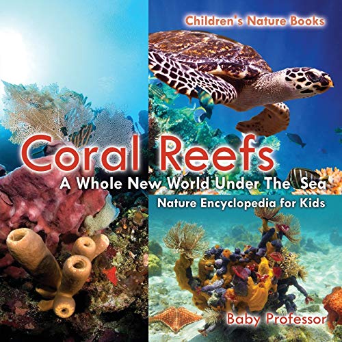 Beispielbild fr Coral Reefs : A Whole New World Under The Sea - Nature Encyclopedia for Kids | Children's Nature Books zum Verkauf von SecondSale
