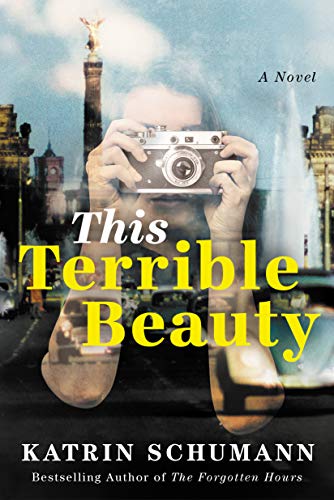 Beispielbild fr This Terrible Beauty: A Novel zum Verkauf von AwesomeBooks