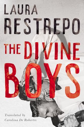Beispielbild fr The Divine Boys zum Verkauf von Better World Books