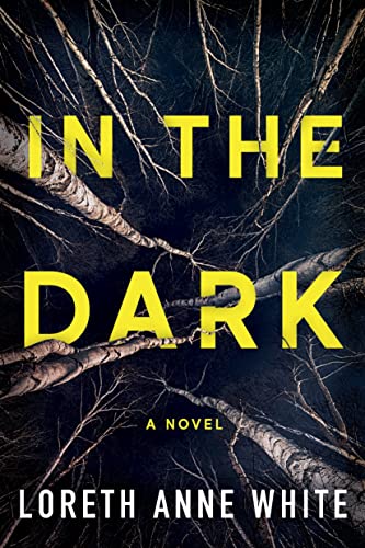 Beispielbild fr In the Dark zum Verkauf von BooksRun