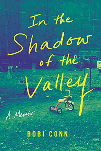 Beispielbild fr In the Shadow of the Valley: A Memoir zum Verkauf von medimops