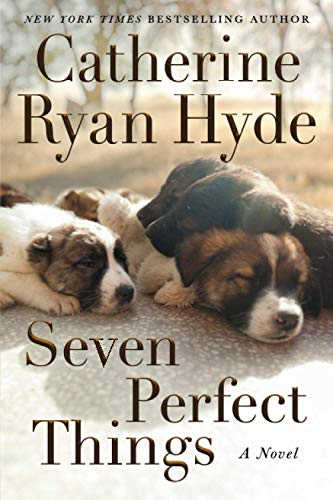 Beispielbild fr Seven Perfect Things: A Novel zum Verkauf von Goodwill of Colorado