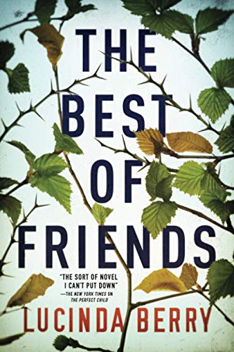 Imagen de archivo de The Best of Friends a la venta por Ergodebooks