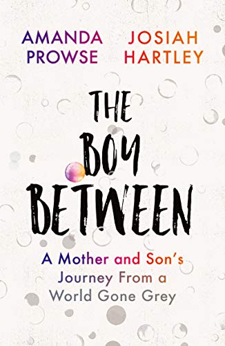 Beispielbild fr The Boy Between : A Mother and Son's Journey from a World Gone Grey zum Verkauf von Better World Books