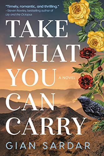 Beispielbild fr Take What You Can Carry: A Novel zum Verkauf von Russell Books