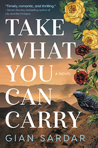 Imagen de archivo de Take What You Can Carry: A Novel a la venta por Russell Books