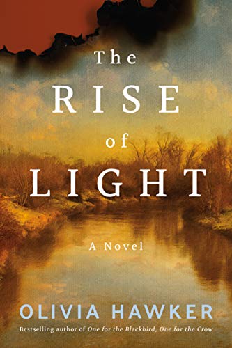 Beispielbild fr The Rise of Light : A Novel zum Verkauf von Better World Books