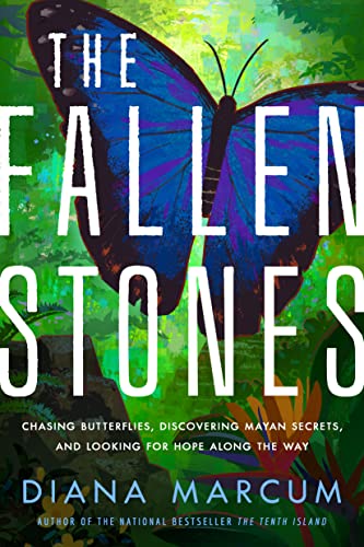 Stock image for The Fallen Stones for sale by Blackwell's