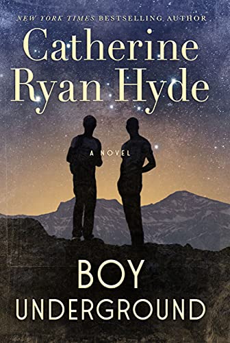 Beispielbild fr Boy Underground: A Novel zum Verkauf von ZBK Books