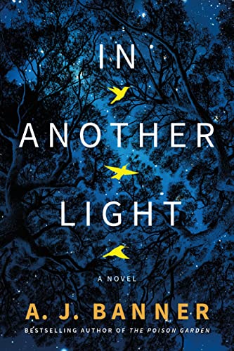 Imagen de archivo de In Another Light: A Novel a la venta por SecondSale