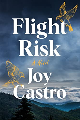Beispielbild fr Flight Risk : A Novel zum Verkauf von Better World Books