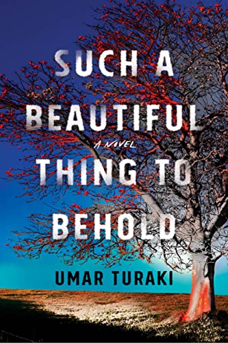 9781542034678: Such a Beautiful Thing to Behold: A Novel