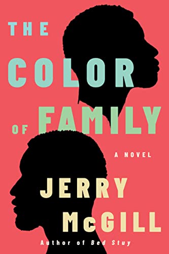 Beispielbild fr The Color of Family: A Novel zum Verkauf von BooksRun