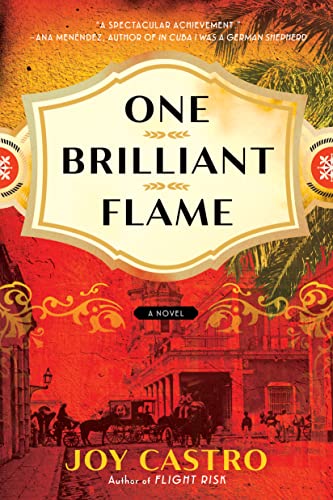 9781542038041: One Brilliant Flame: A Novel