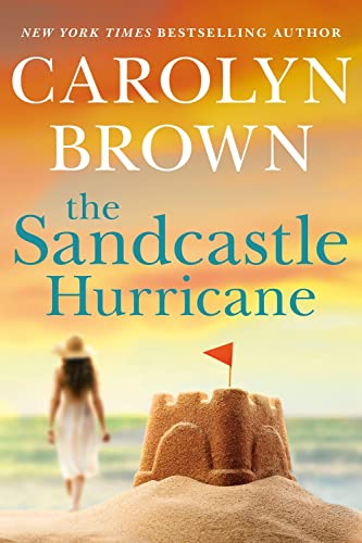 Stock image for The Sandcastle Hurricane for sale by Dream Books Co.