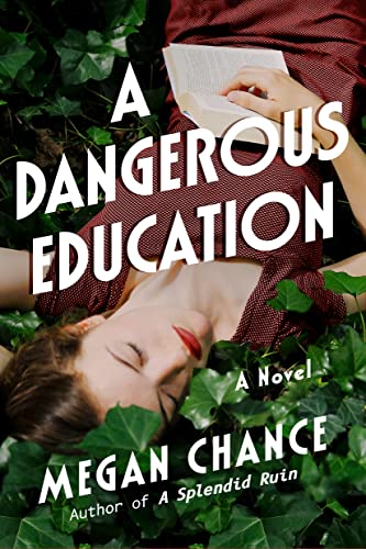 Stock image for A Dangerous Education: A Novel for sale by SecondSale