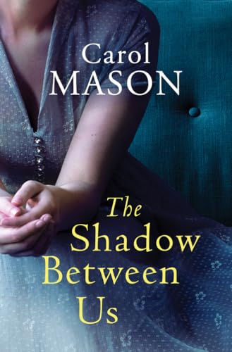 Imagen de archivo de The Shadow Between Us a la venta por Better World Books