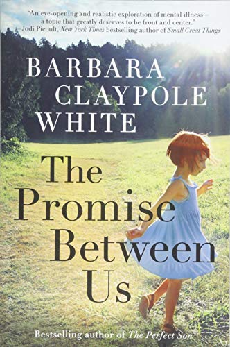 9781542048989: The Promise Between Us