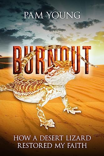 Stock image for Burnout: How a Desert Lizard Restored My Faith: Volume 1 (Burnout to Bliss) for sale by medimops