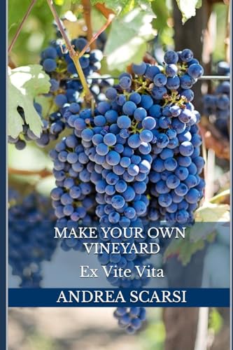 9781542436694: Make Your Own Vineyard: Ex Vite Vita