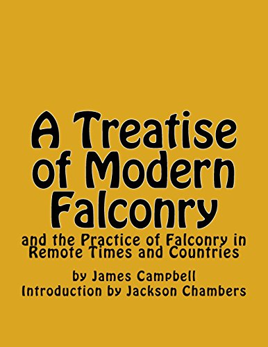 9781542627184: A Treatise of Modern Falconry: and the Practice of Falconry in Remote Times and Countries