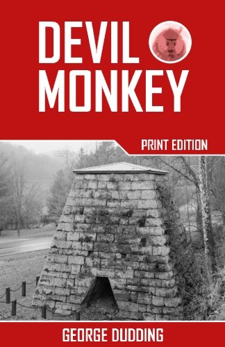 Beispielbild fr Devil Monkey zum Verkauf von Revaluation Books