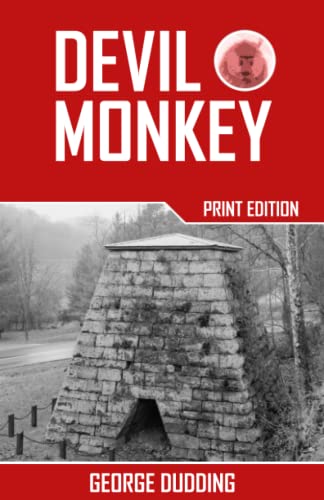 Stock image for Devil Monkey for sale by Revaluation Books