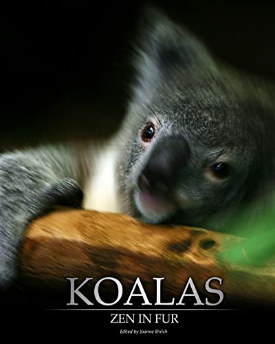 Imagen de archivo de Koalas: Zen in Fur, Bw Edition a la venta por THE SAINT BOOKSTORE