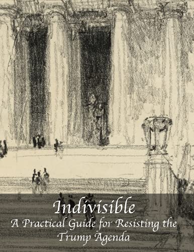 Imagen de archivo de Indivisible Guide a la venta por Revaluation Books