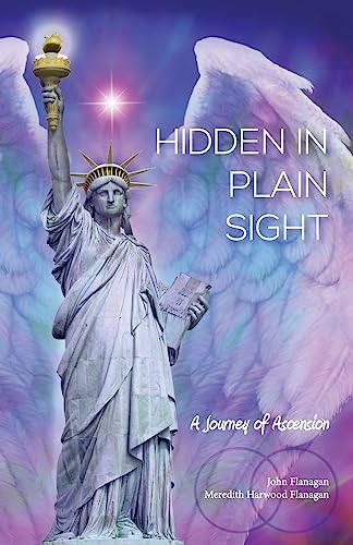 Stock image for Hidden in Plain Sight: A Journey of Ascension for sale by SecondSale