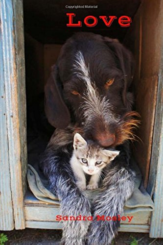 Stock-Bild f�r Love Journal (Love Journal Collection, Band 5)