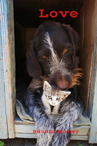 Stock image for Love Journal (Love Journal Collection)