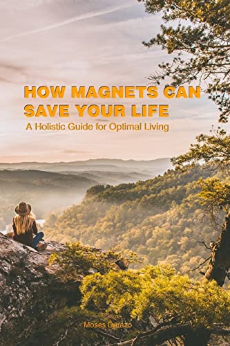 Imagen de archivo de How Magnets Can Save Your Life: A Holistic Guide For Optimal Living (Biomagnetism for an Extraordinary Life) a la venta por Goodwill Industries of VSB