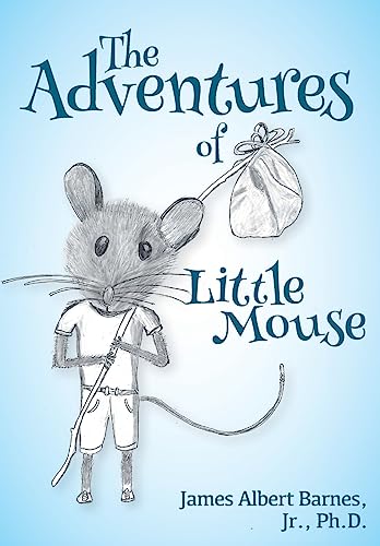 Beispielbild fr The Adventures of Little Mouse zum Verkauf von Books From California